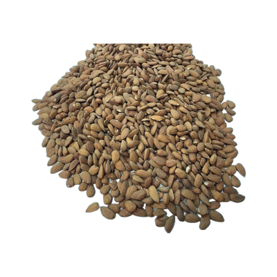 AMANDE ENTIERE LAURANNE 11-12 SAC 25 KG