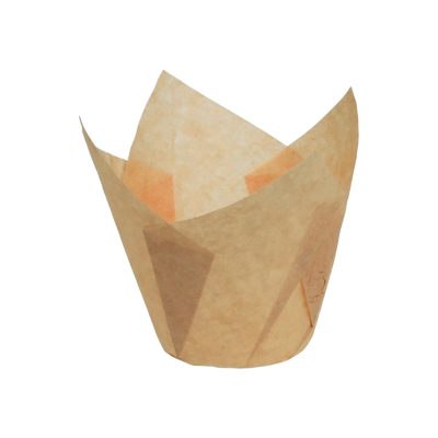 CAISS TULIPCUP ECRU 140/50 PQT 200