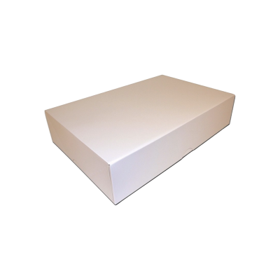 BTES TRAITEUR BLANCHE 28X20 PQT 25