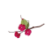 PIQUET LUCIOLE FUCHSIA HT4.5CMS
