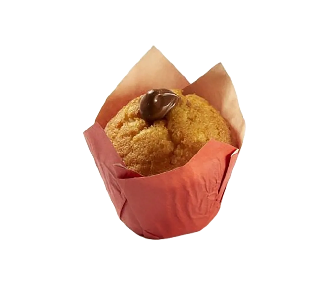 MUFFINS NATURE FOURRE CHO/NOIS 80G CT20